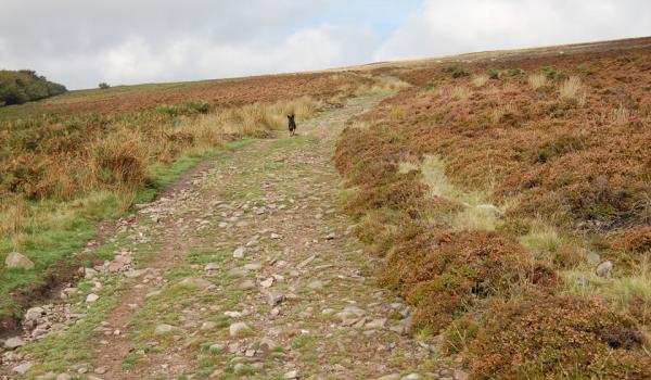 British Horse Society - Project 2026 - Repealed