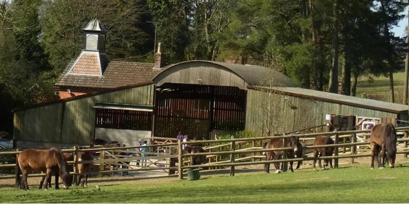 Saturday 22nd March - AGM