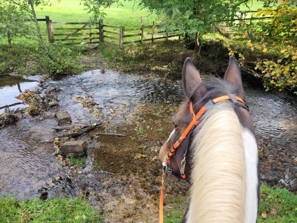 News - Self guided riding routes